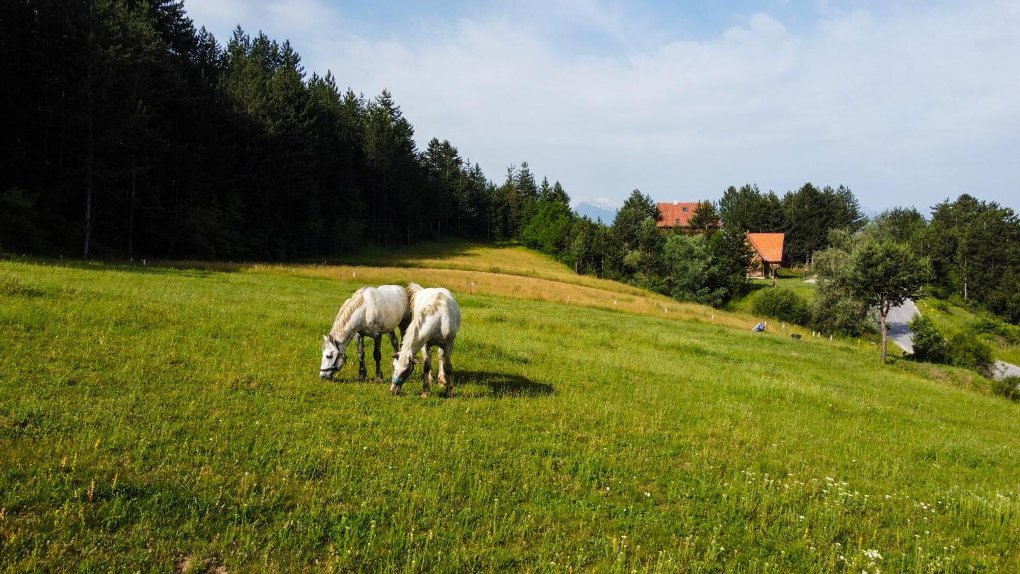 Lambievi Kolibi Villa Gorno Kraishte Bagian luar foto