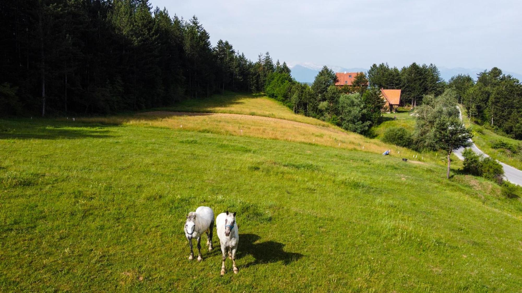 Lambievi Kolibi Villa Gorno Kraishte Bagian luar foto